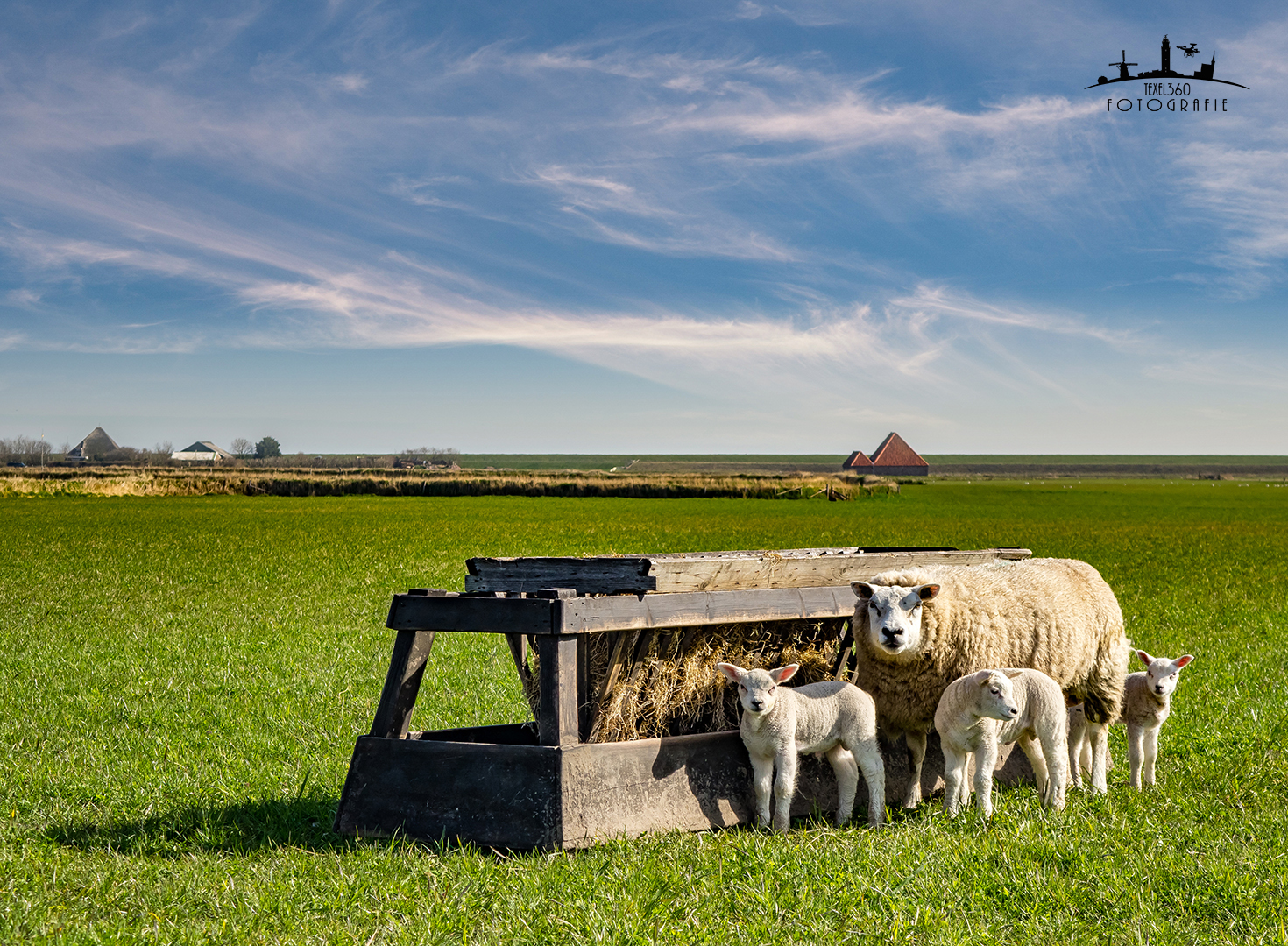 Boerderijcamping De Hal