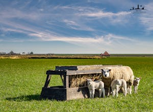Boerderijcamping De Hal