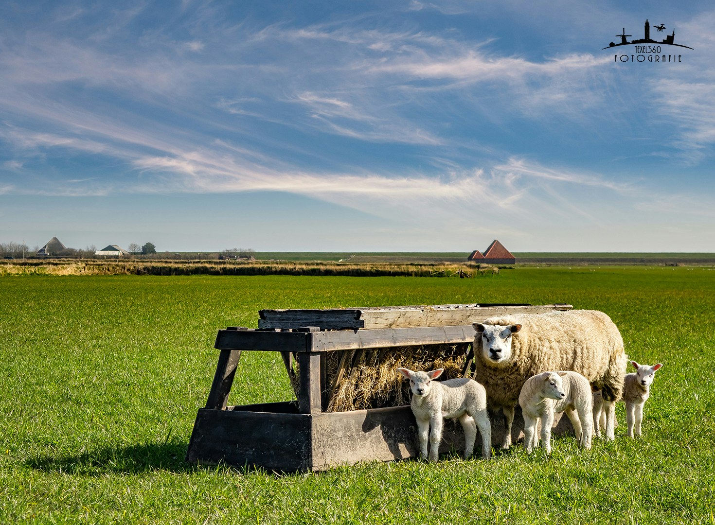 Boerderijcamping De Hal