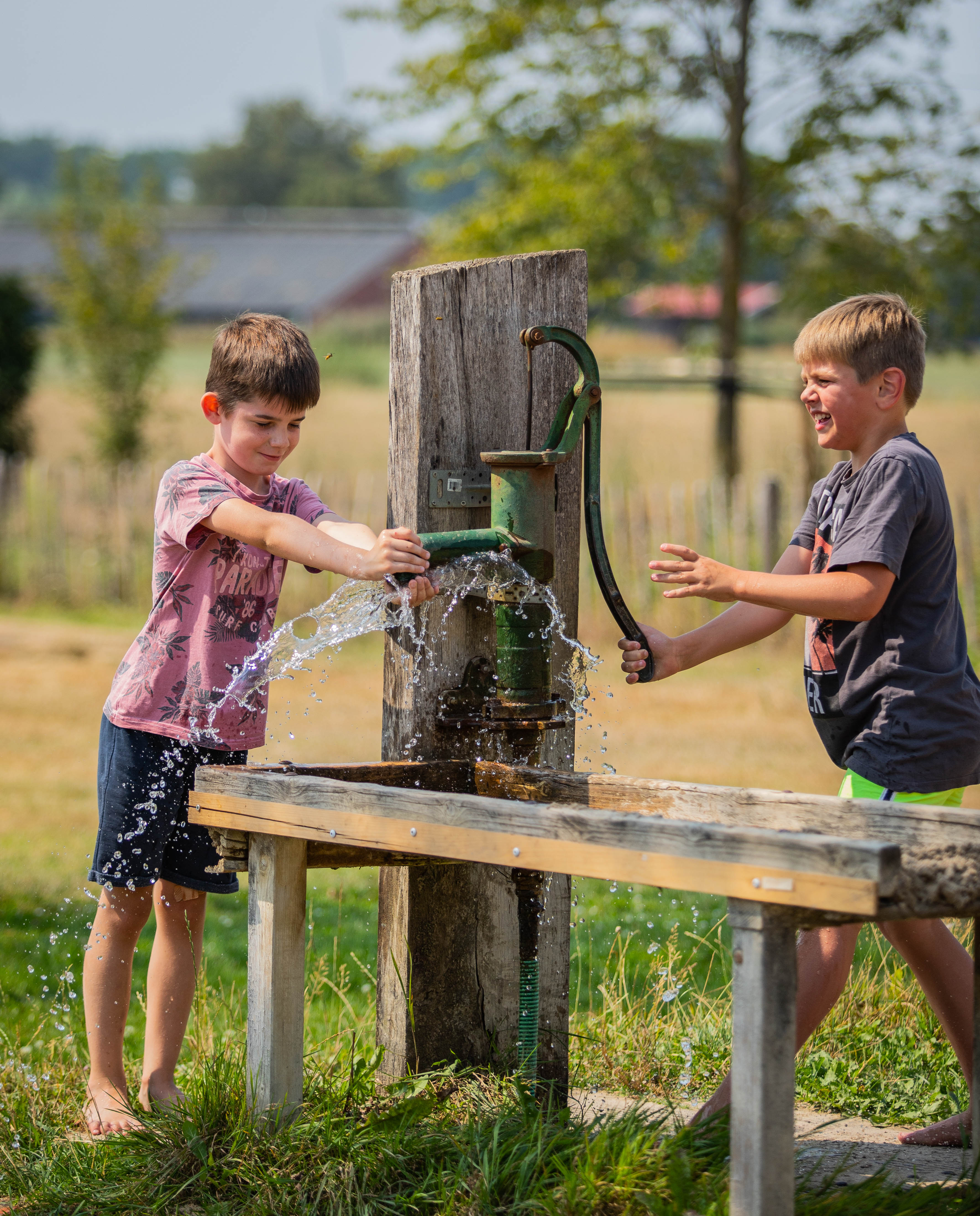 BoerderijCamping De Neeth