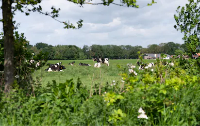 BoerderijCamping De Neeth