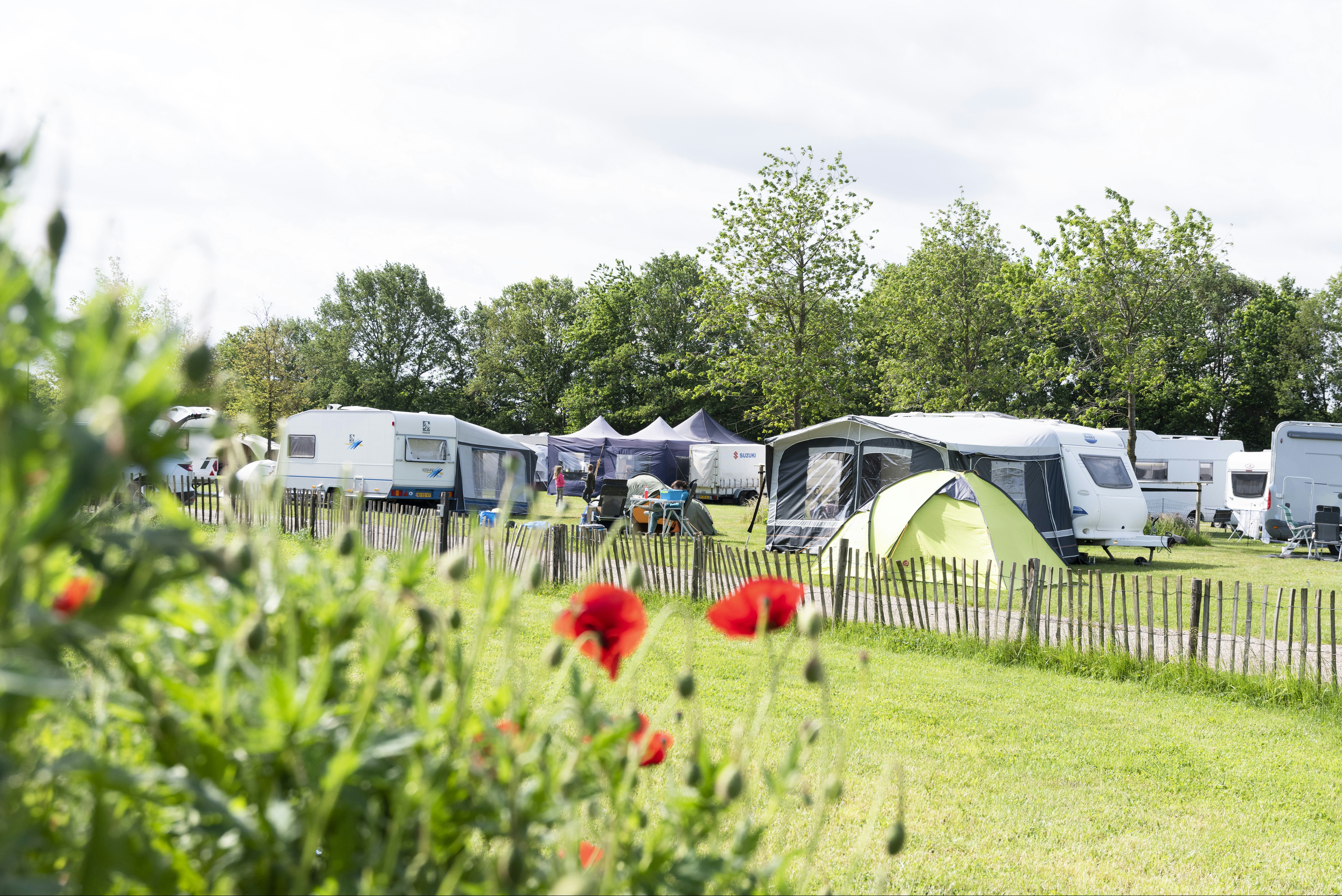 BoerderijCamping De Neeth - Standplatzwiese auf dem Campingplatz