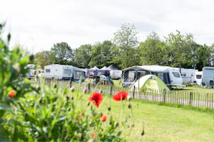 BoerderijCamping De Neeth - Standplatzwiese auf dem Campingplatz