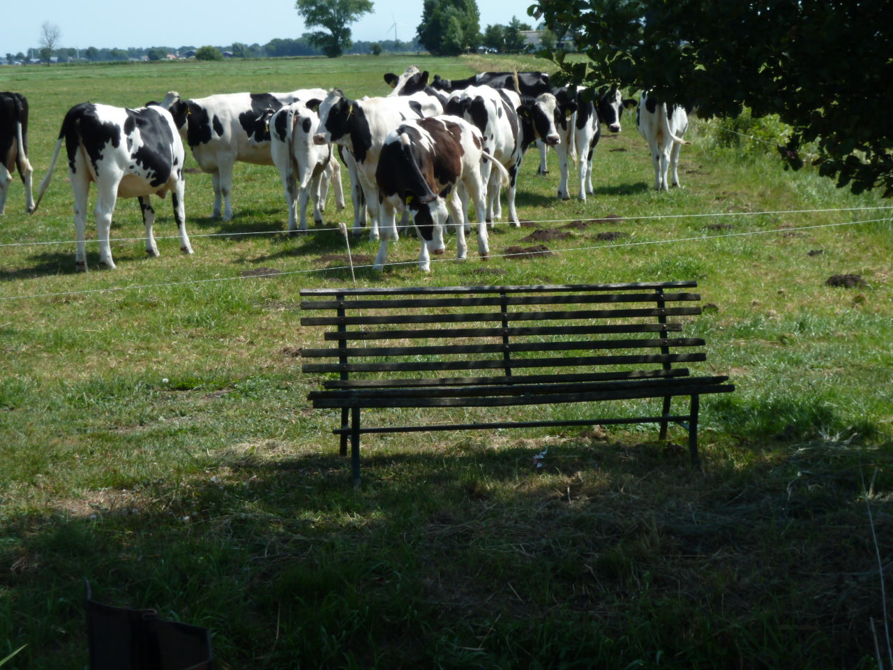 Boerderijcamping De Stadsgaten