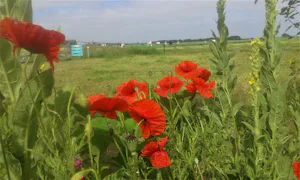 Boerderijcamping De Stadsgaten
