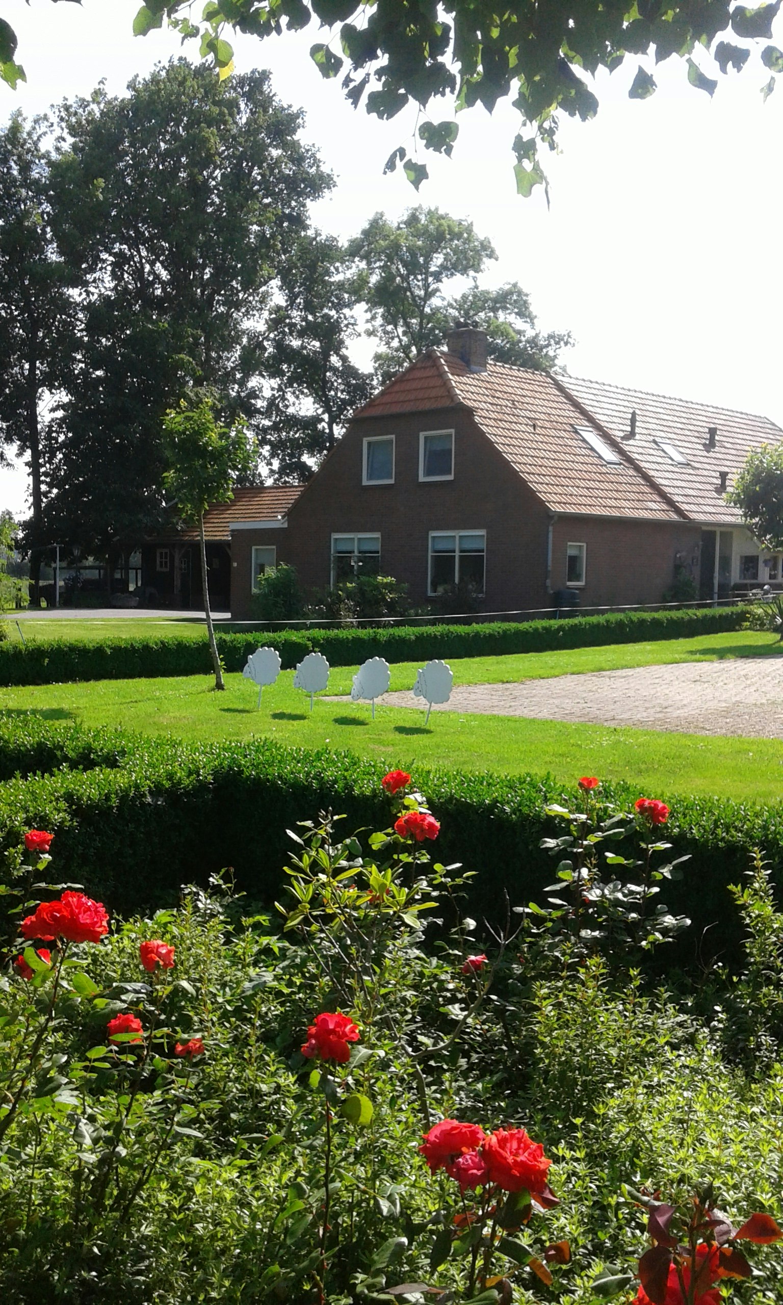 Boerderijcamping De Stadsgaten