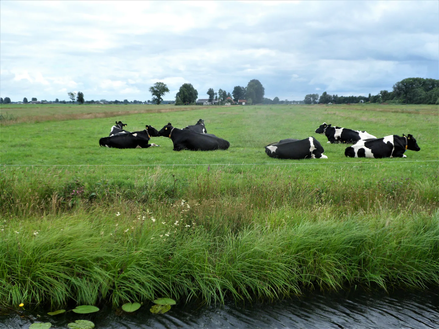 Boerderijcamping De Stadsgaten