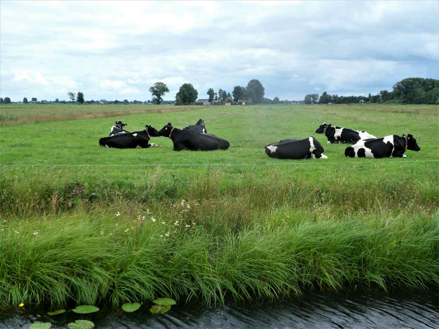 Boerderijcamping De Stadsgaten
