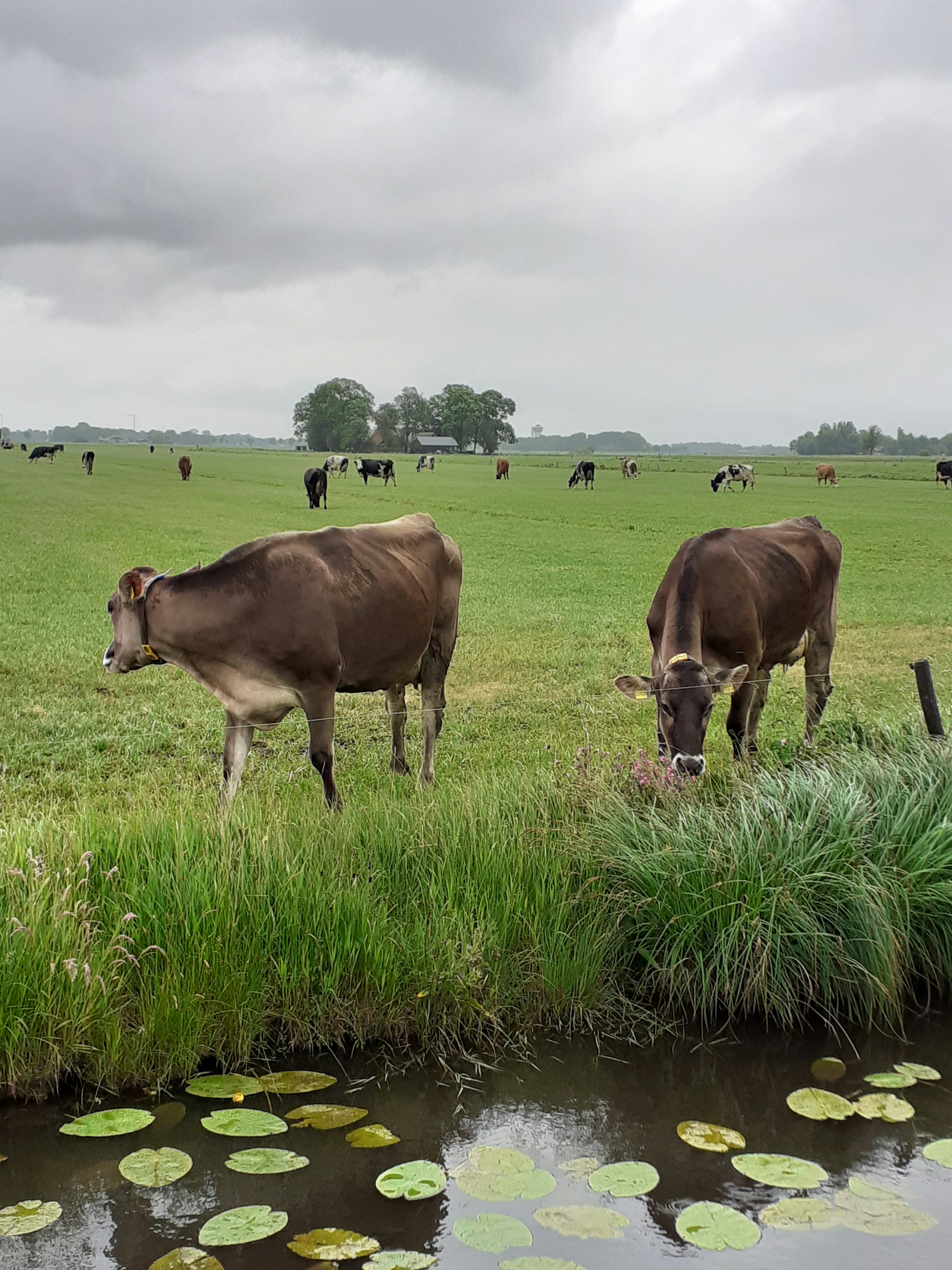 Boerderijcamping De Stadsgaten