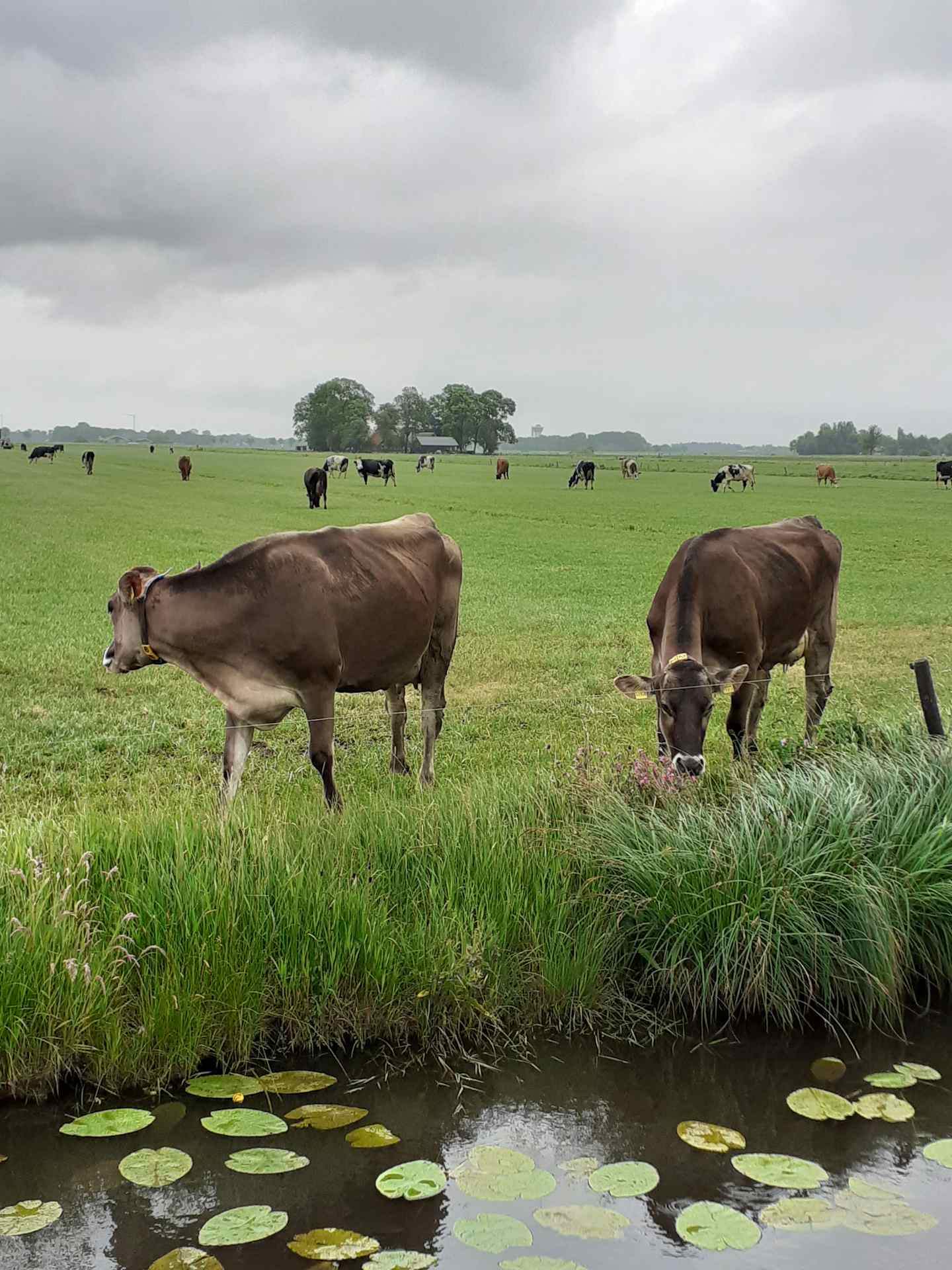 Boerderijcamping De Stadsgaten