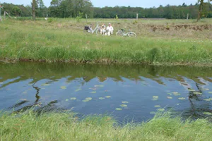 Boerderijcamping De Wezel