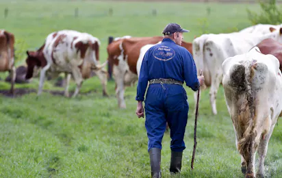 Boerderijcamping Den Hoek