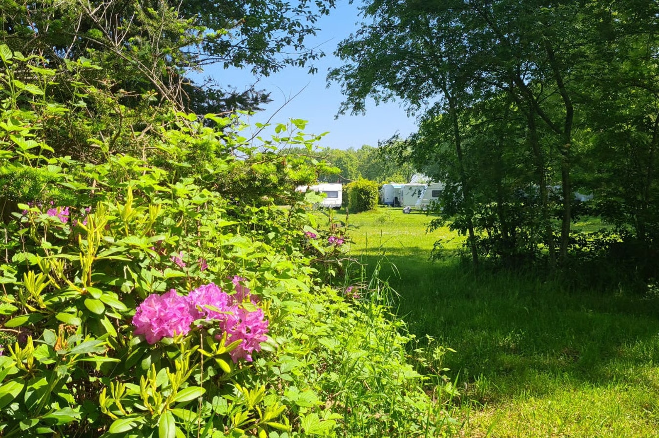 Boerderijcamping Erve Wolkotte - Standplätze im Grünen auf dem Campingplatz