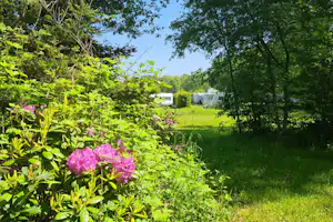 Boerderijcamping Erve Wolkotte - Standplätze im Grünen auf dem Campingplatz