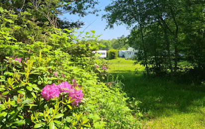 Boerderijcamping Erve Wolkotte