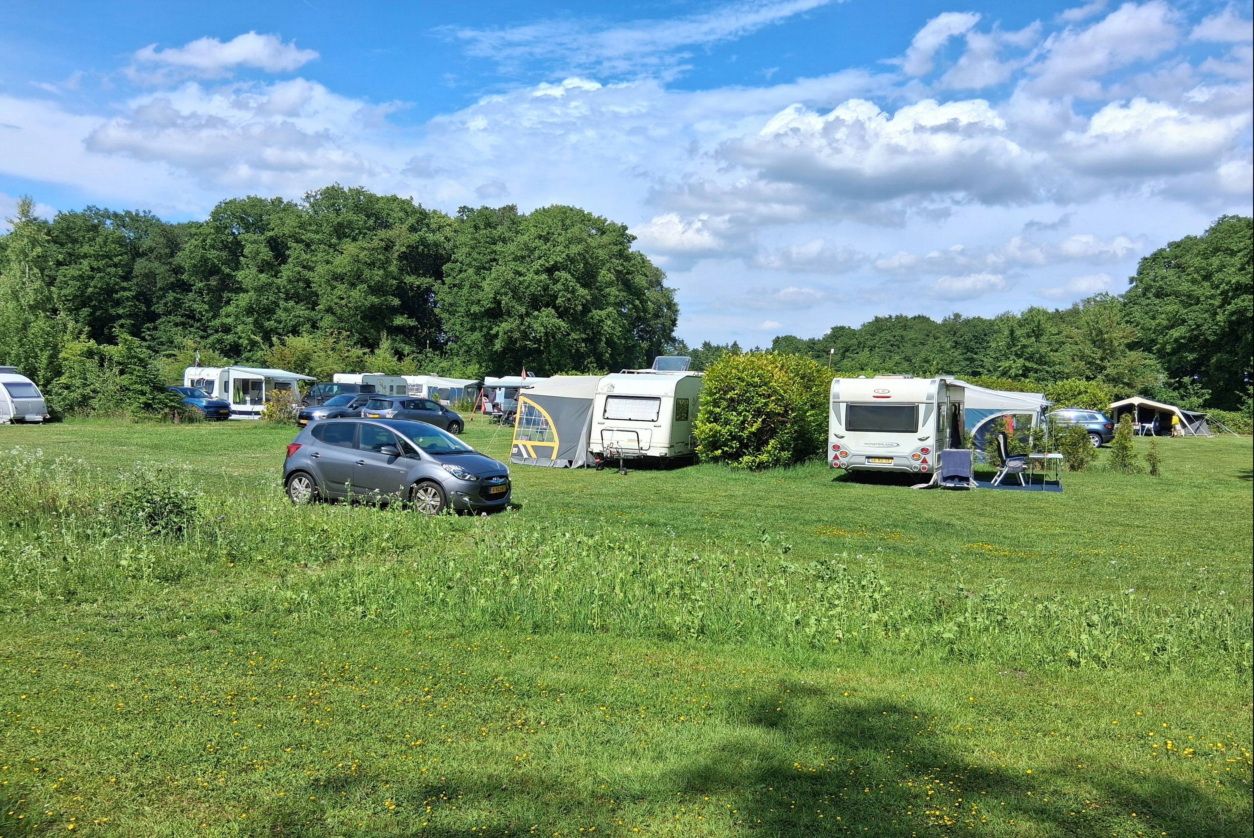 Boerderijcamping Erve Wolkotte - Wohnmobil- und Wohnwagenstandplätze auf der Wiese