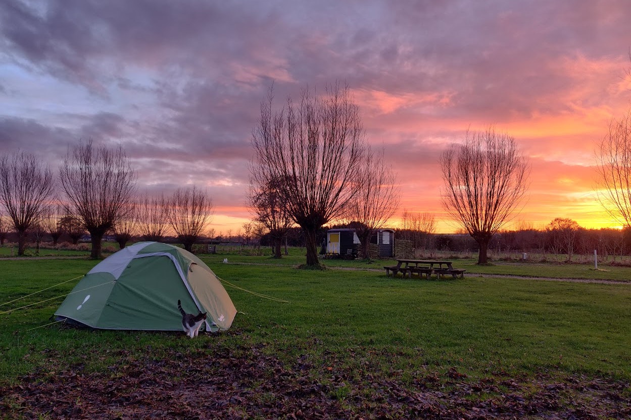 Boerderijcamping Hoeve de Mertel - Sonnenuntergang über der Zeltwiese des Campingplatzes