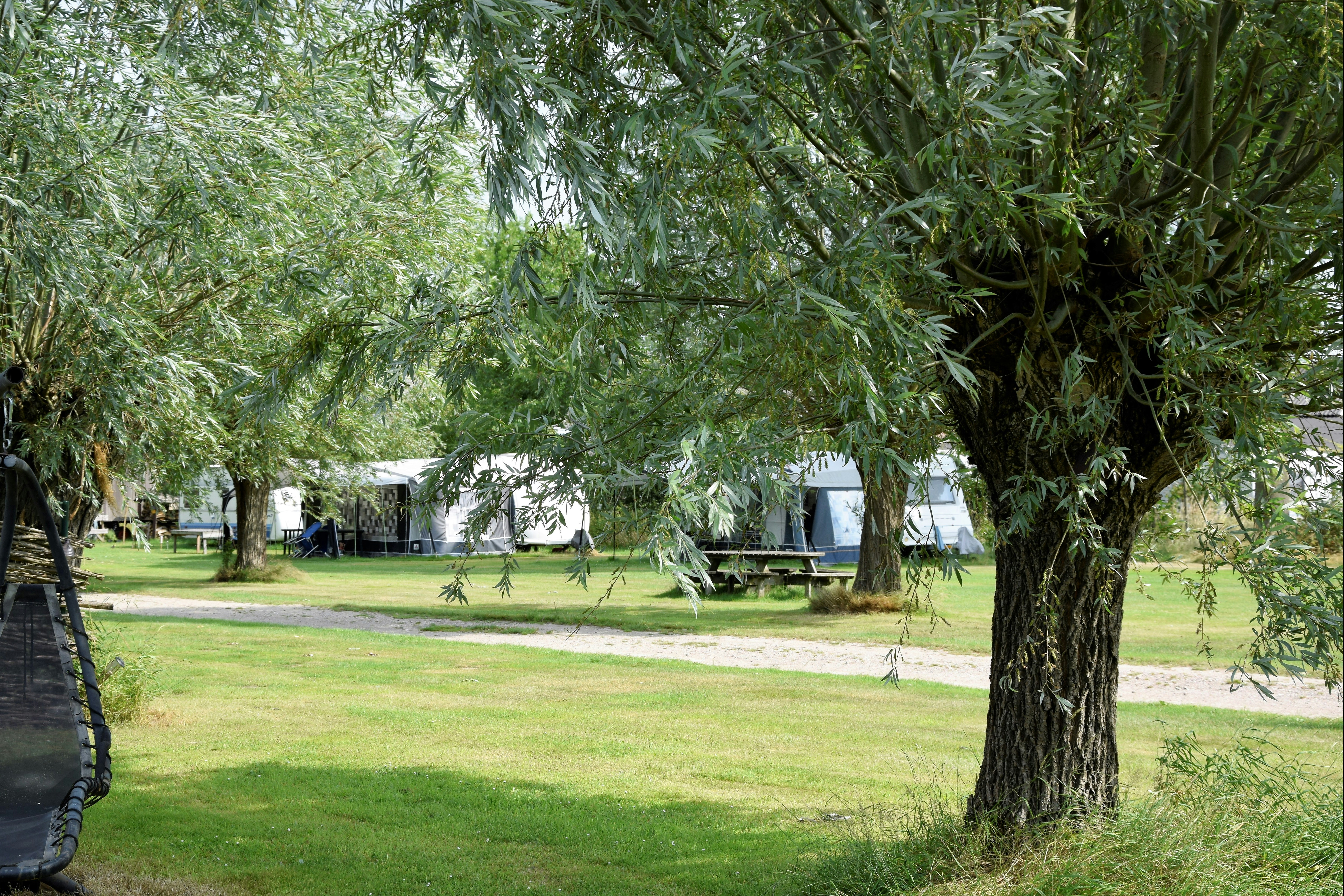 Boerderijcamping Hoeve de Mertel - Wohnmobil- und Wohnwagenstandplätze auf der Wiese