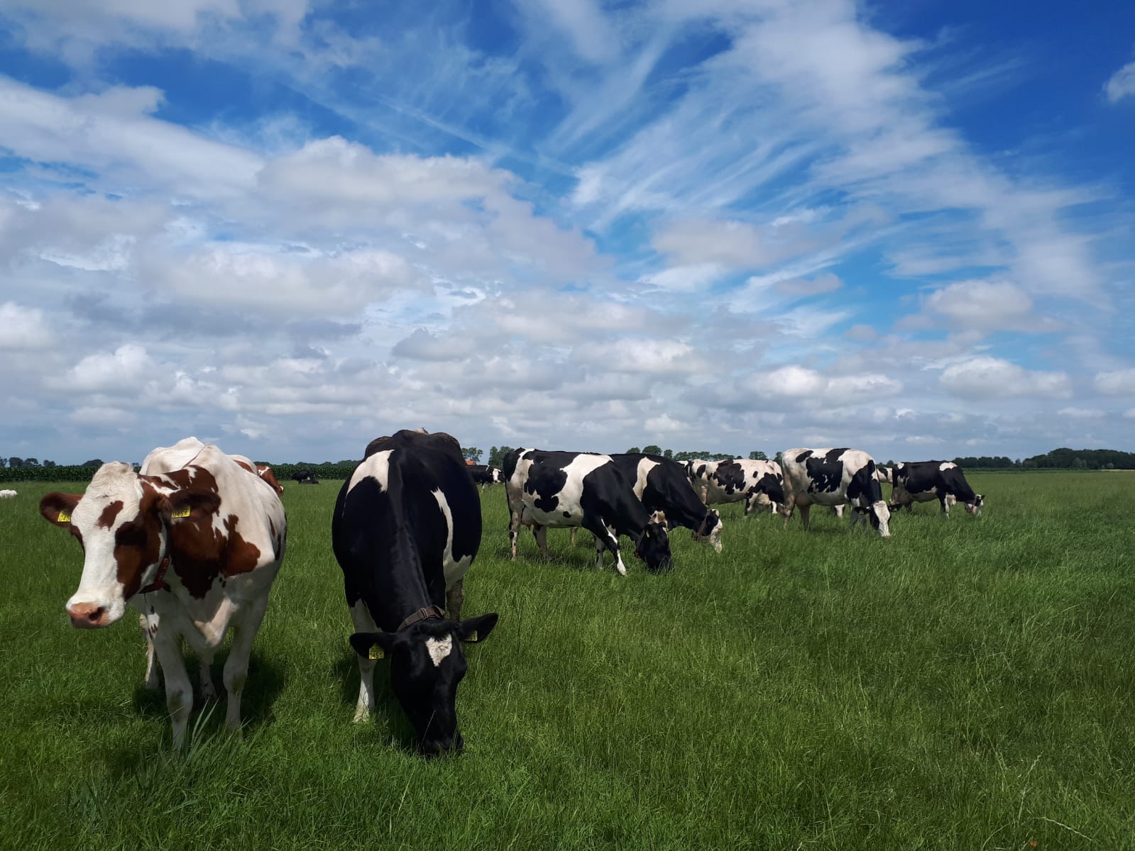Boerderijcamping Krabbeneiland