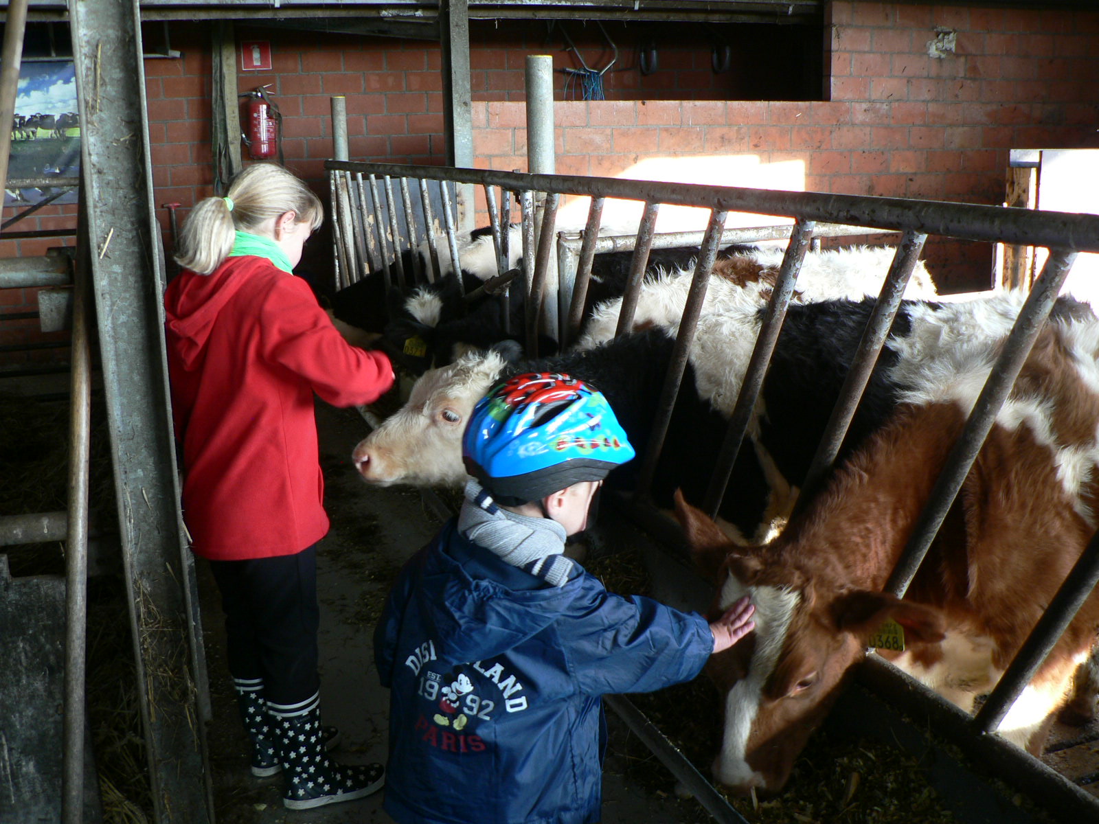 Boerderijcamping Krabbeneiland