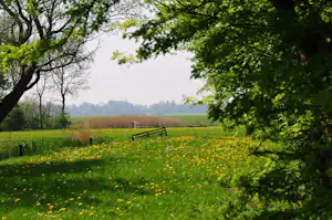 Boerderijcamping Old Huystra State
