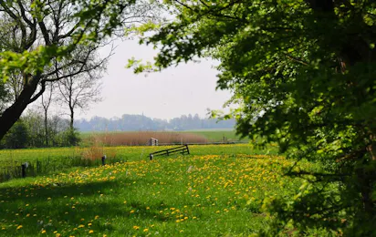 Boerderijcamping Old Huystra State