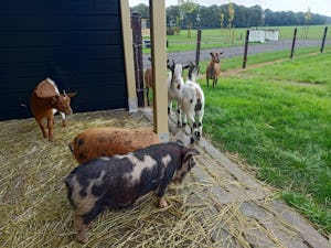 Boerderijcamping `t Katreel