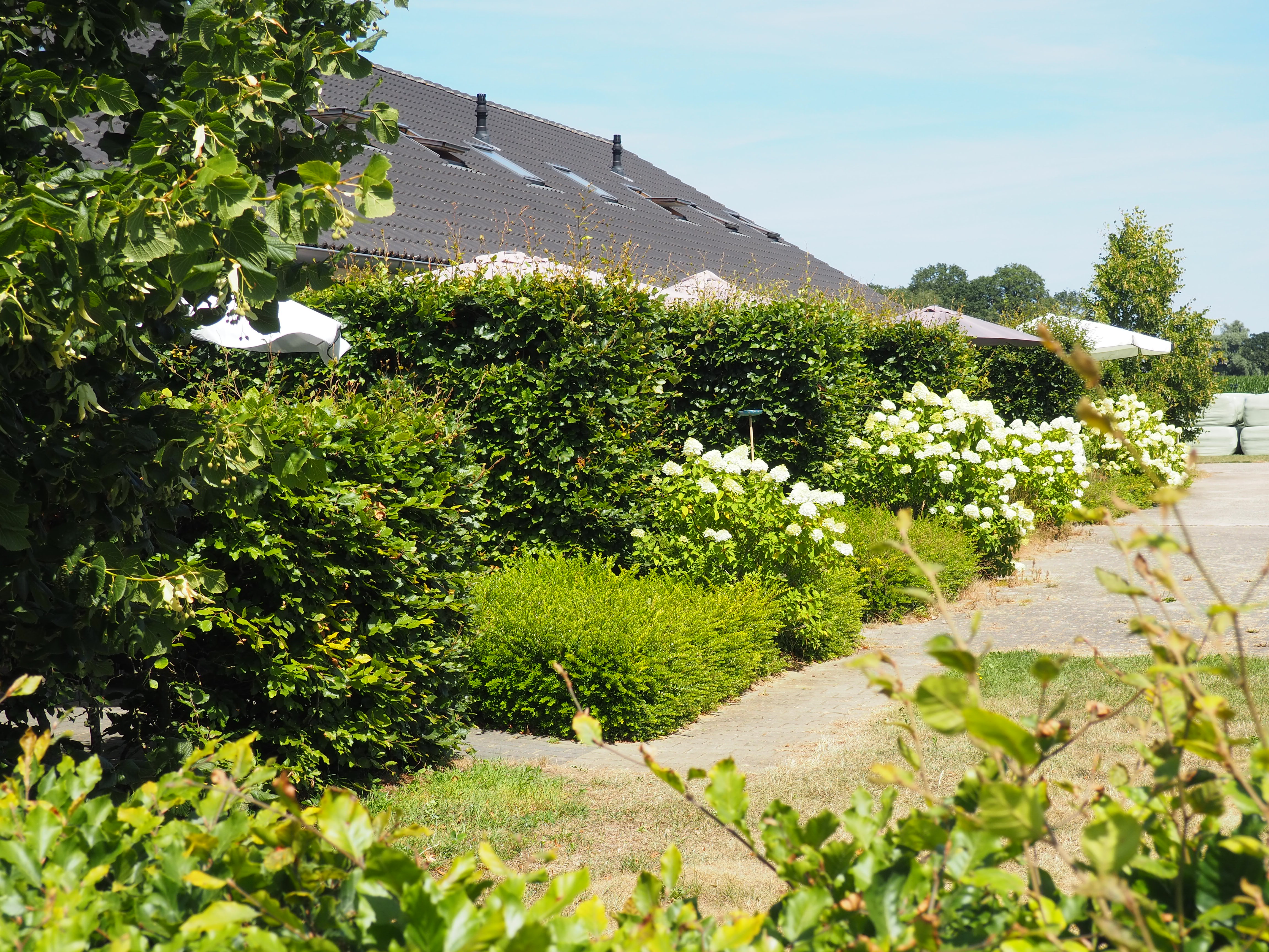 Boerderijcamping `t Katreel