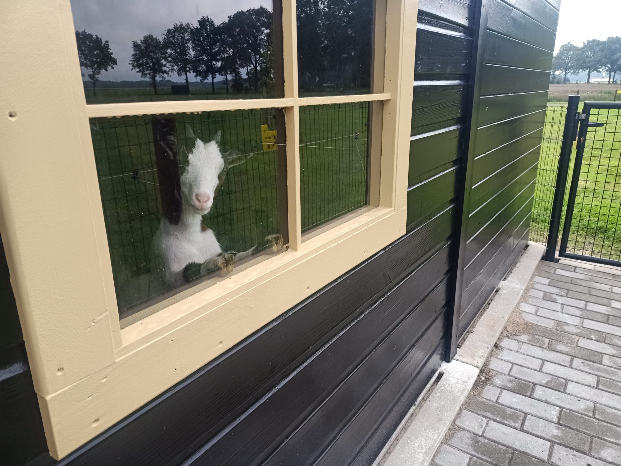 Boerderijcamping `t Katreel