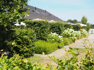 Boerderijcamping `t Katreel