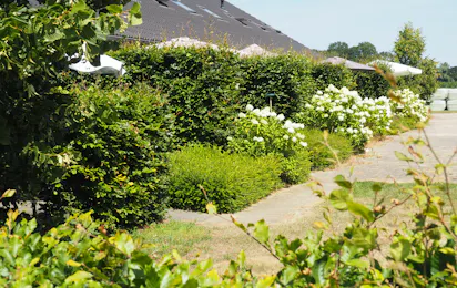 Boerderijcamping `t Katreel
