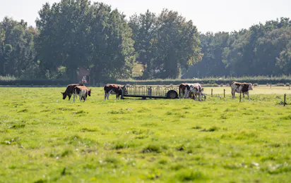 Boerderijcamping Varsenerveld