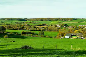 Boerderijcamping Voncken - Blick in die Umgebung des Campingplatzes
