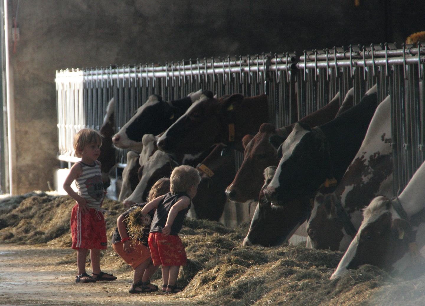 Boerderijcamping Woutrinahoeve