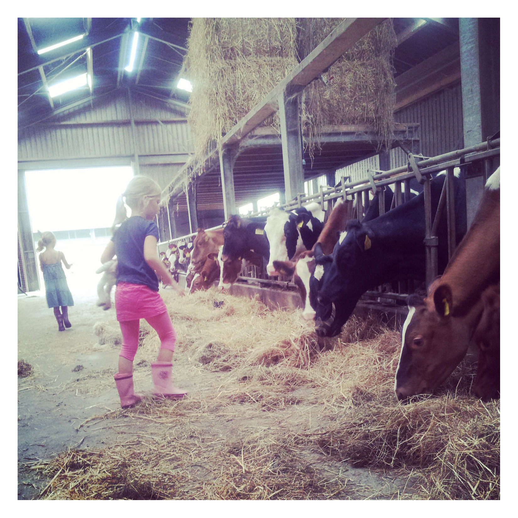 Boerderijcamping Woutrina Hoeve