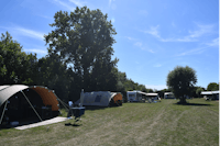 Boerderijcamping Zuiderhoeve - Stellplätze auf der Wiese