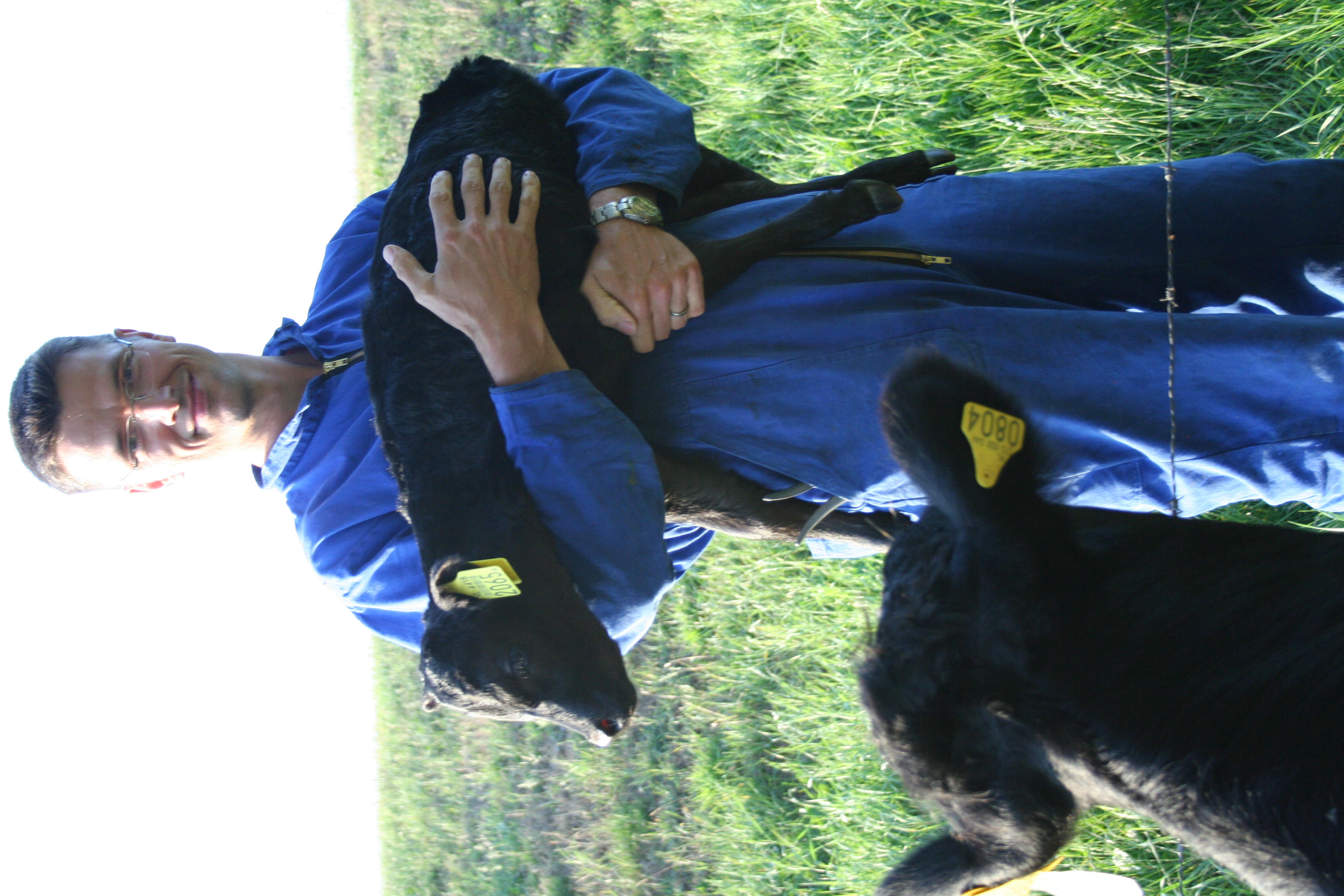 Boerencamping Boerhoes