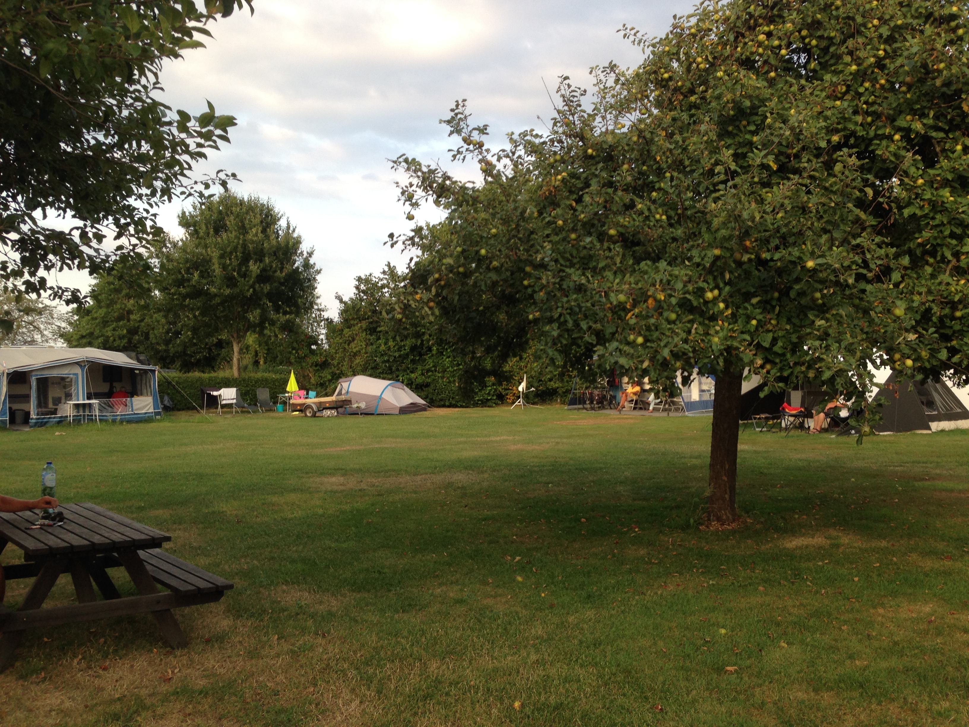 Boerencamping Boerhoes