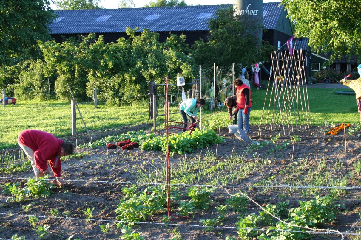 Boerencamping Boerhoes