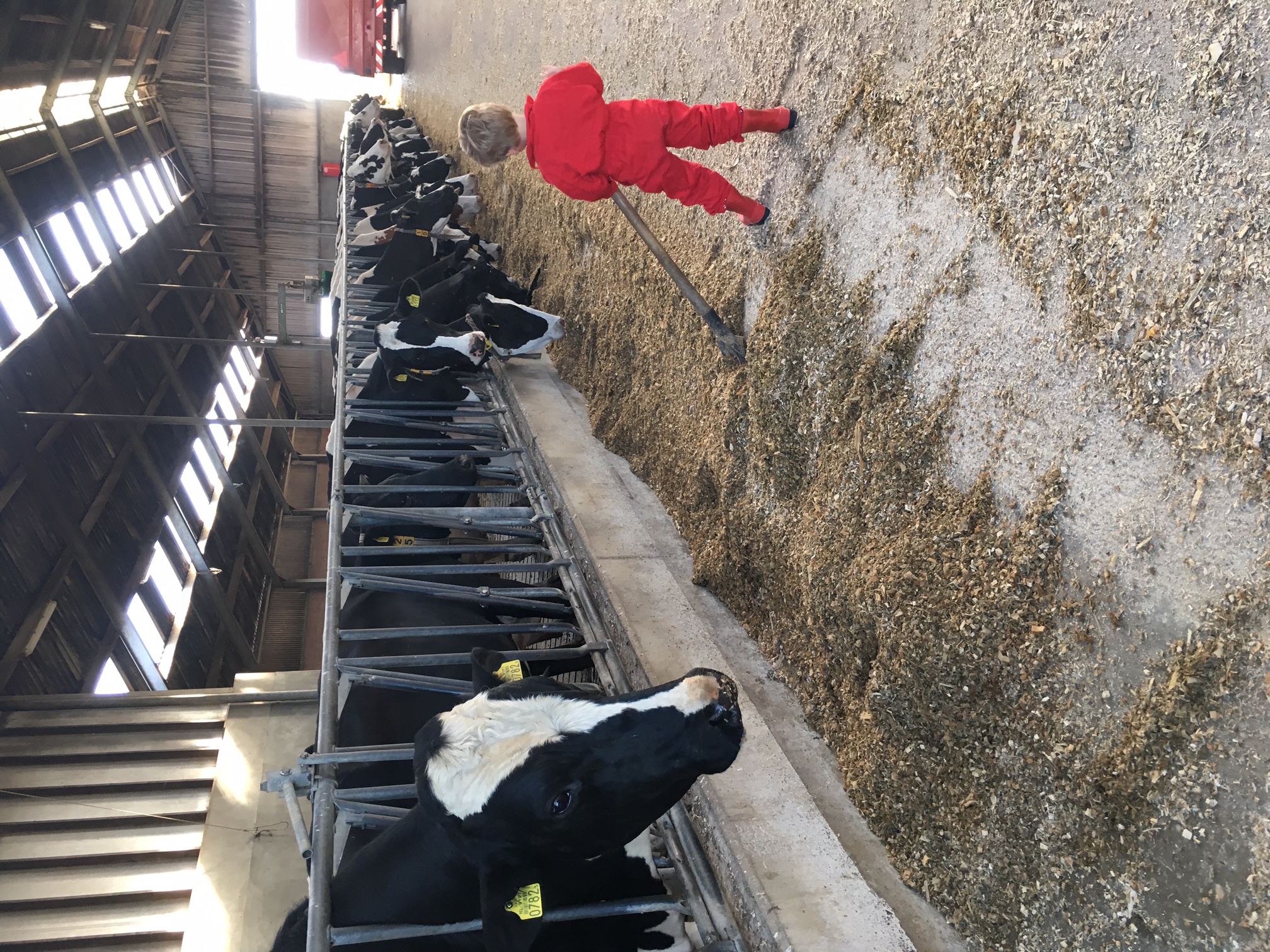 Boerencamping De Kei