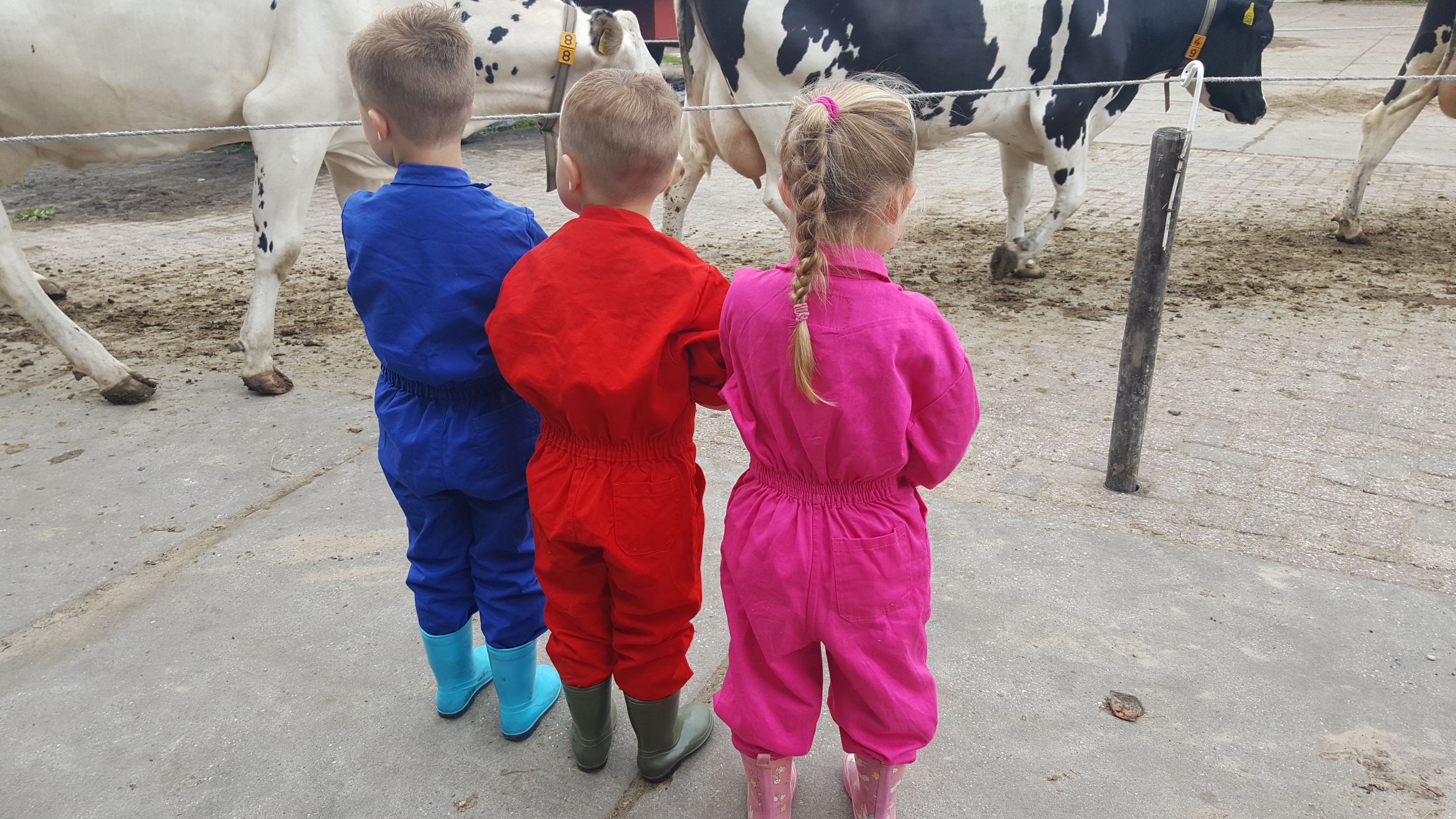 Boerencamping De Kei