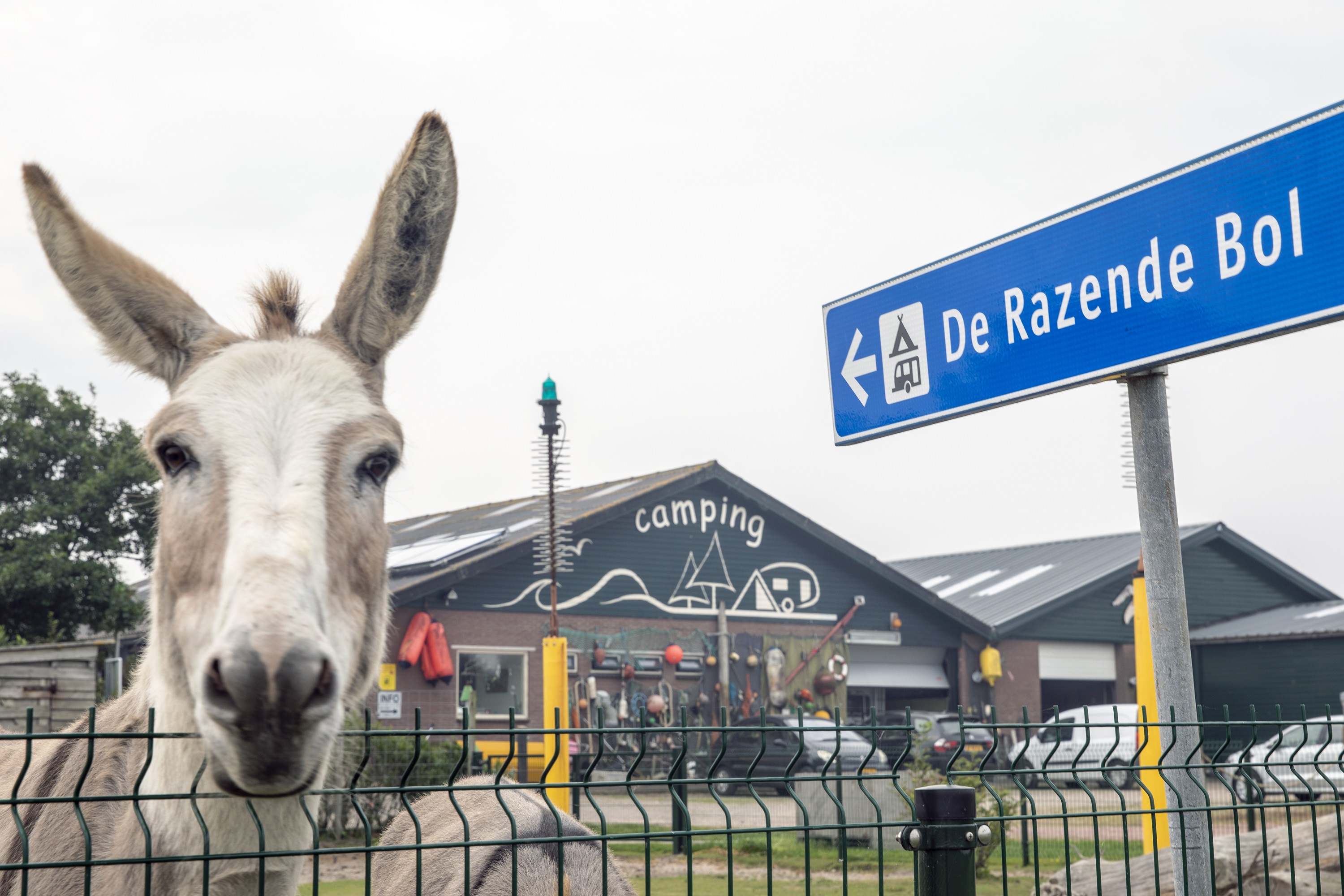 Boerencamping De Razende Bol