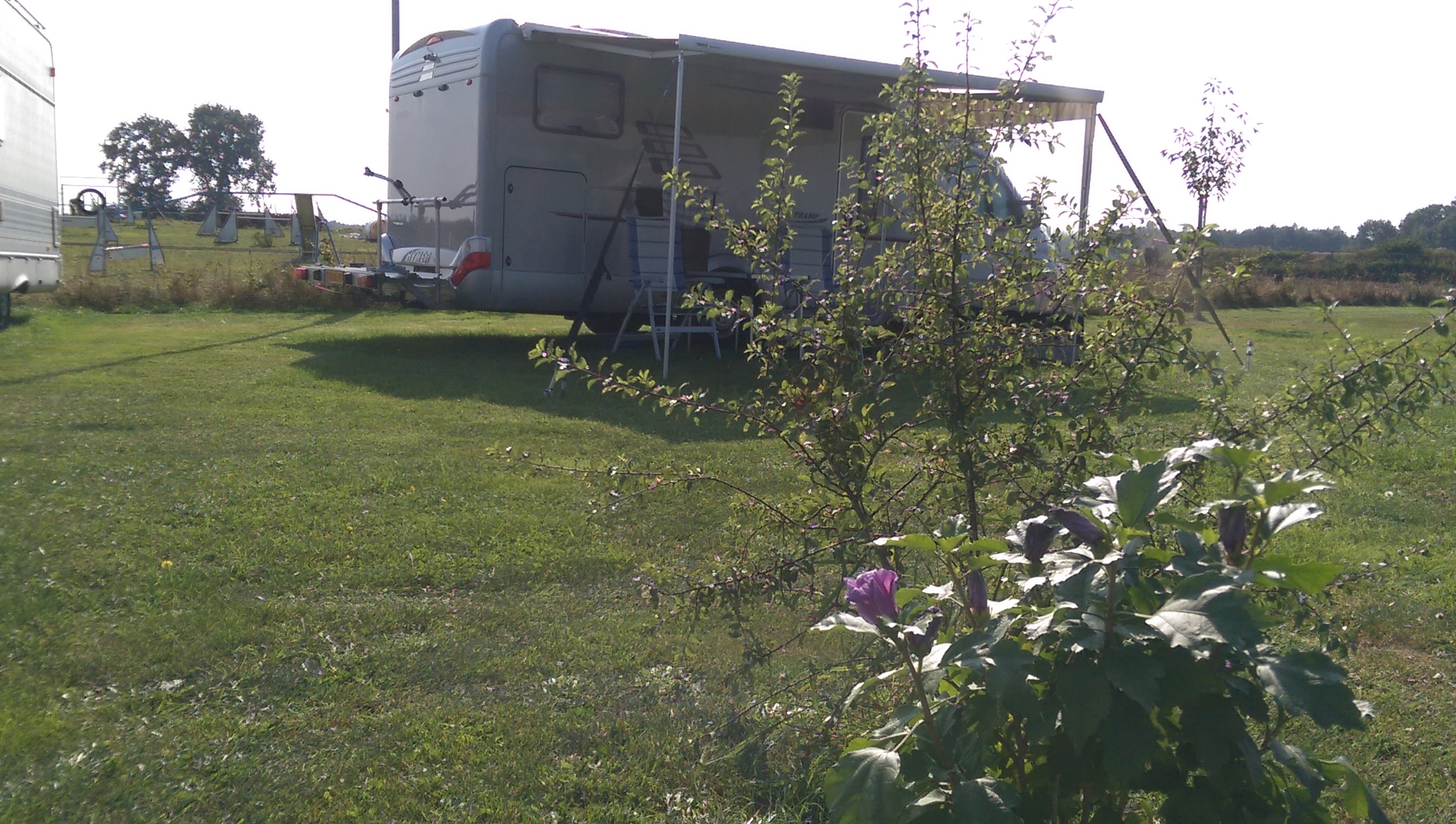 Boerencamping Het Scholtemeijer