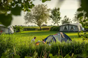 Boerencamping Ny Herema - Zeltwiese auf dem Campingplatz