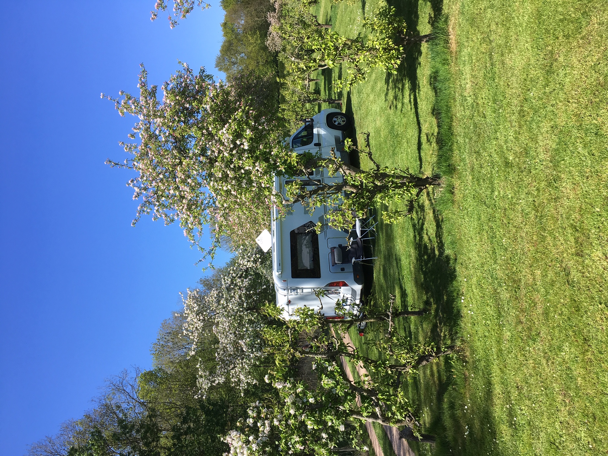 Boomgaardcamping DuinRand