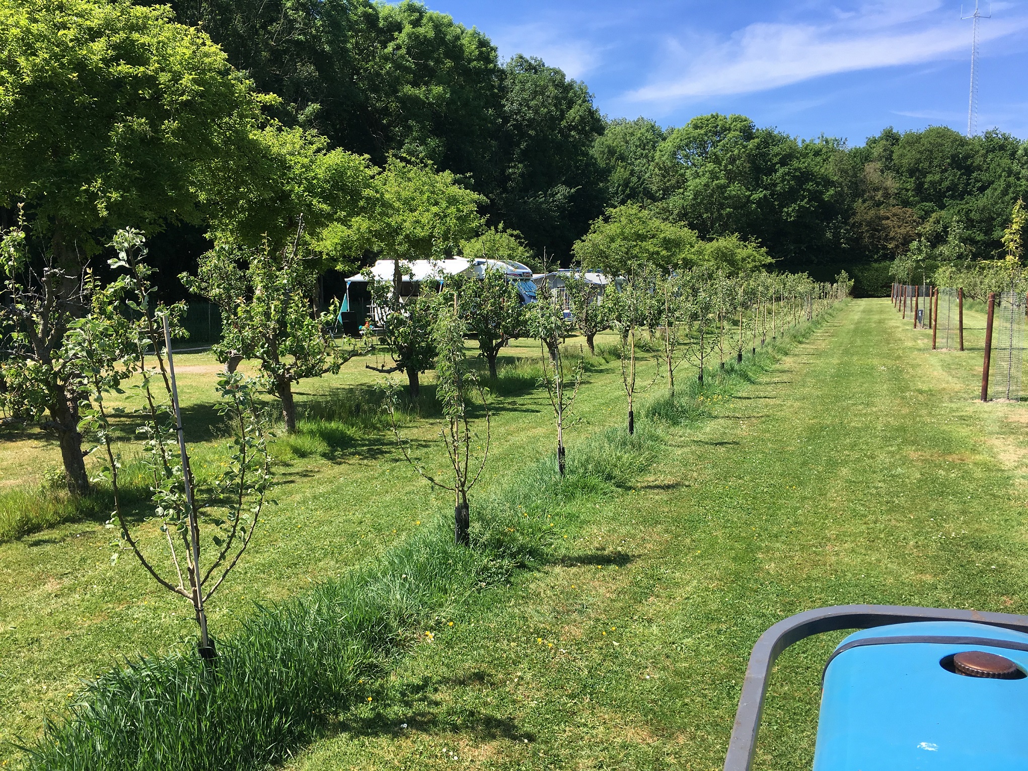 Boomgaardcamping DuinRand