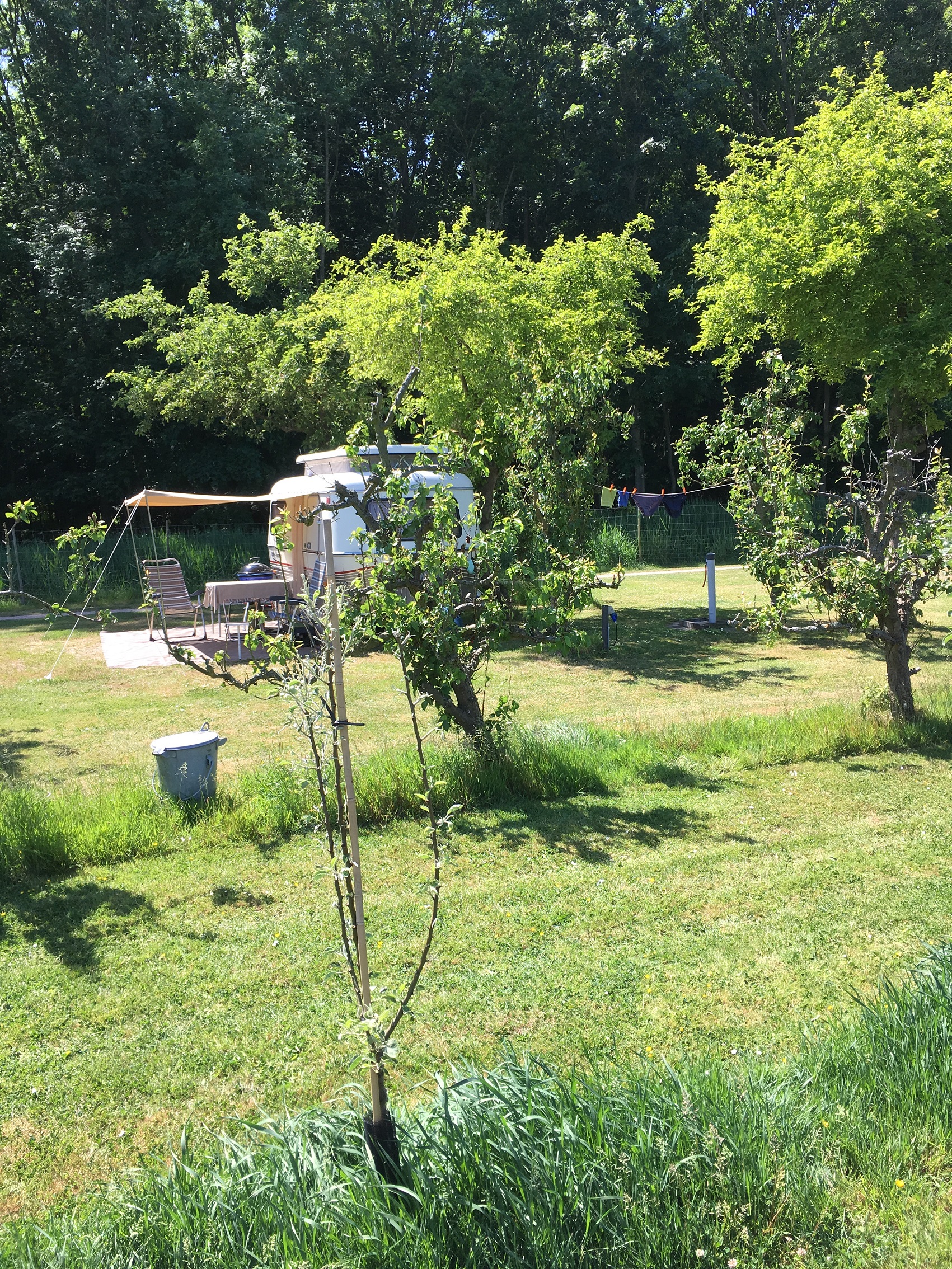 Boomgaardcamping DuinRand