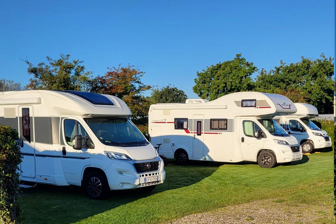 Bork Havn Camping - Wohnmobil- und Wohnwagenstandplätze auf der Wiese