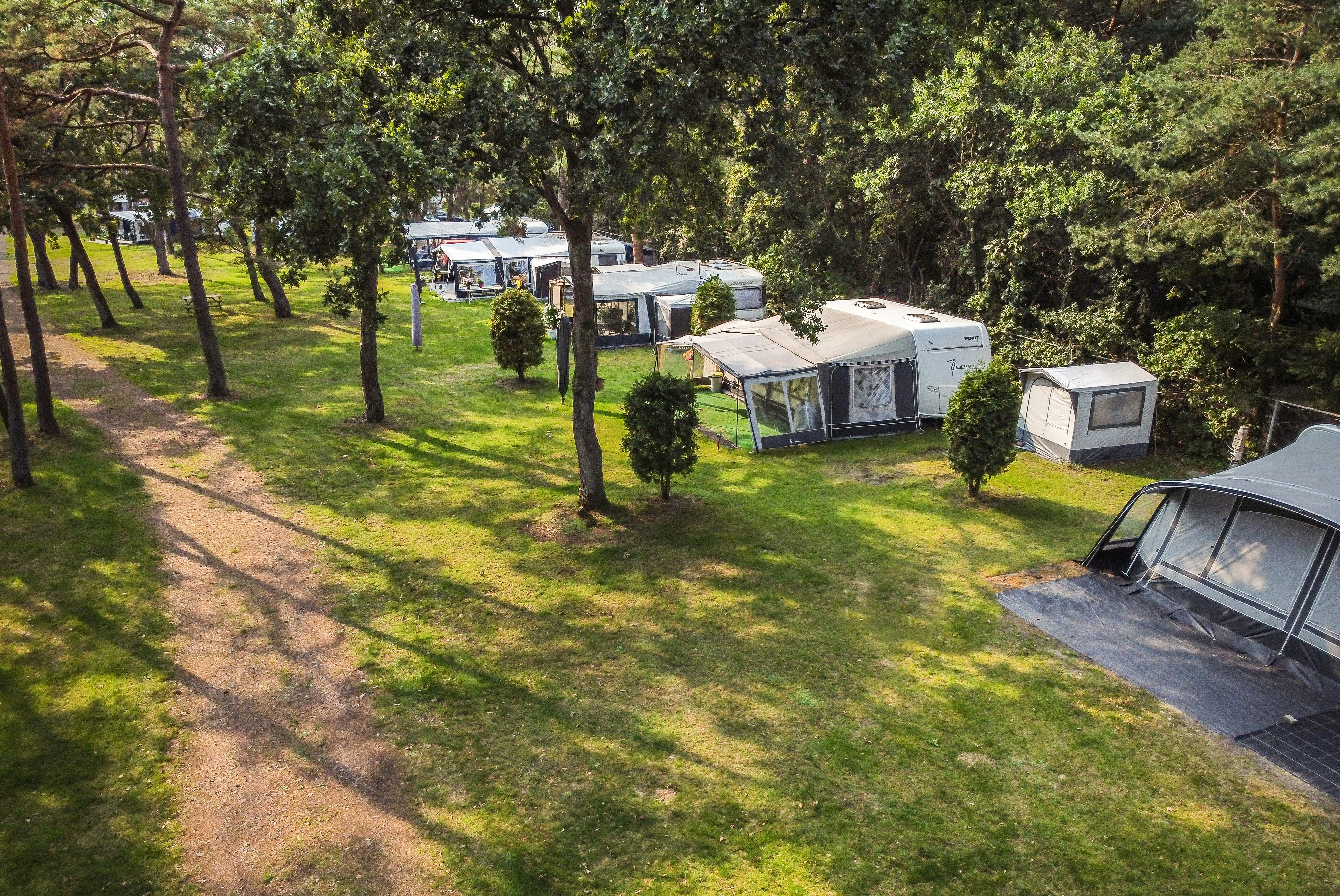 Bos Park Bilthoven - Wohnmobil- und Wohnwagenstandplätze auf der Wiese