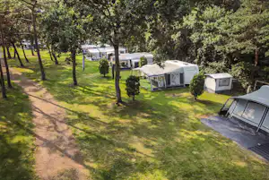 Bos Park Bilthoven - Wohnmobil- und Wohnwagenstandplätze auf der Wiese